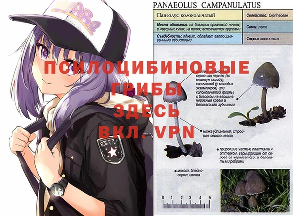 крисы Балабаново