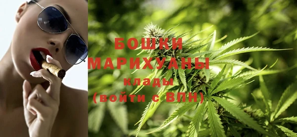 шишки Балахна