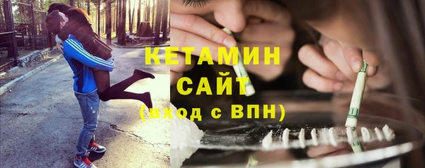 шишки Балахна